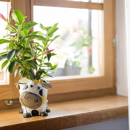 オールド ハウス ブレッド