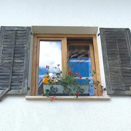 Hotel Old House 3*